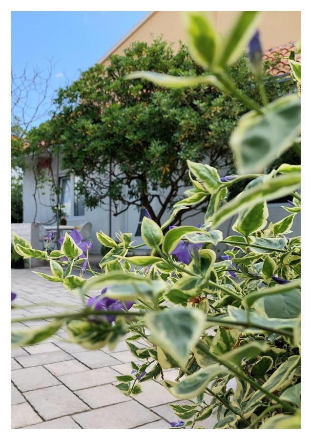 House Old Town Trogir Villa Ngoại thất bức ảnh