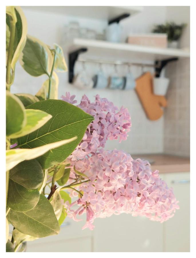 House Old Town Trogir Villa Ngoại thất bức ảnh